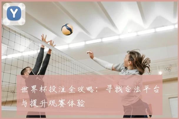 世界杯投注全攻略:寻找合法平台与提升观赛体验