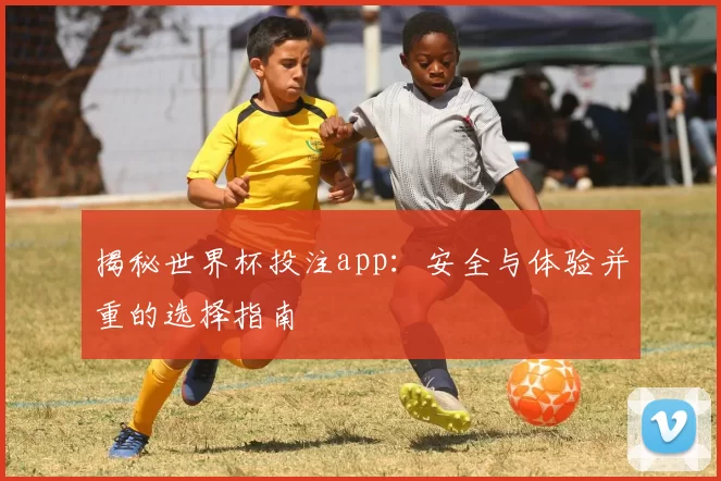 揭秘世界杯投注app:安全与体验并重的选择指南