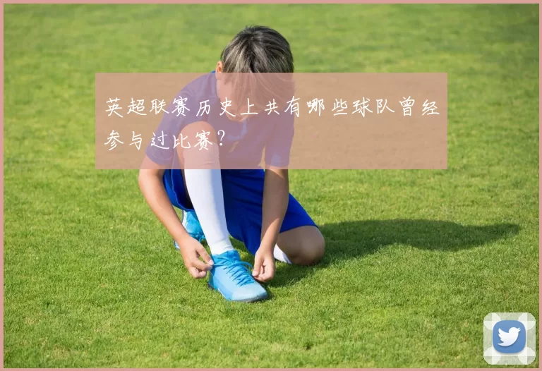 英超联赛历史上共有哪些球队曾经参与过比赛？