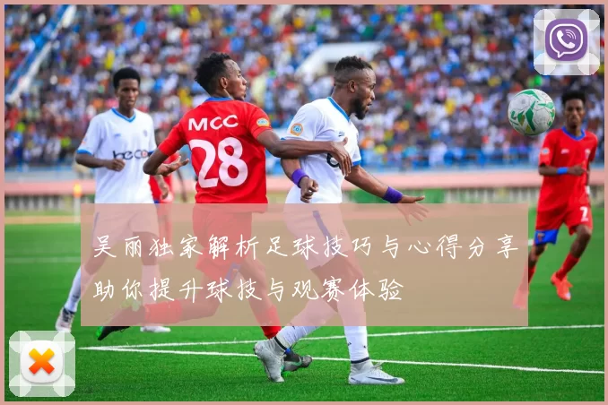吴丽独家解析足球技巧与心得分享助你提升球技与观赛体验
