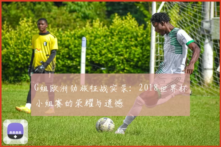 G组欧洲劲旅征战实录：2018世界杯小组赛的荣耀与遗憾