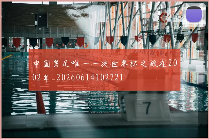 中国男足唯一一次世界杯之旅在2002年_20260614102721